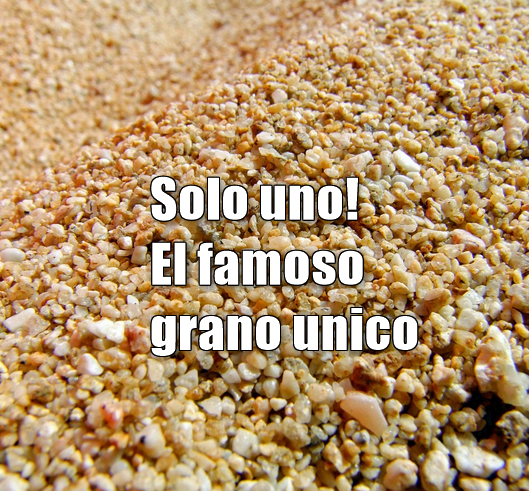 1 grano de arena thumbnail 2